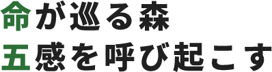 命が巡る森五感を呼び起こす